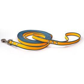 Durable material New style two-color training rope Tangle-free Soft on pet 4.92FT Obedience training Daily walk training Park training  Evening/early (Color: Orange-blue, size: 10M)